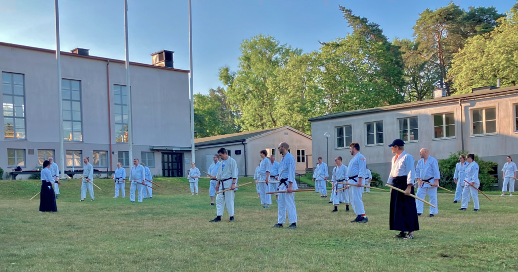 AIKIDO SUMMER CAMP LILLSVED 2025